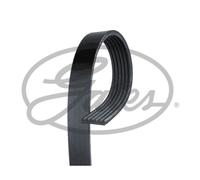 Cinghia Poly-V GATES 6PK1850HD
