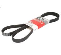 GATES 6PK1853 Cinghia servizi Cinghia Poly-V Cinghia alternatore Cinghia dei servizi