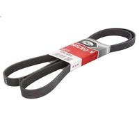 Cinghia poly-V GATES 6PK1855 per AUDI A4 B6 (8E2) 2.4 2001-2004