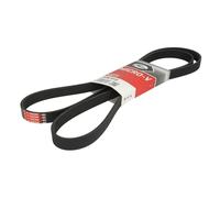 Gates Cinghia Poly-V 6PK1915 per Ford Mazda Ssangyong