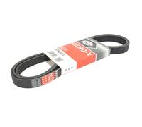 Cinghia Poly-V GATES 6PK2013