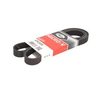 Cinghia Poly-V GATES 6PK2020