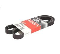 Cinghia poly-V GATES 6PK2020 per DODGE DAKOTA 2.5 1995-2003