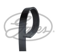 Cinghia Poly-V - GATES 6PK2120