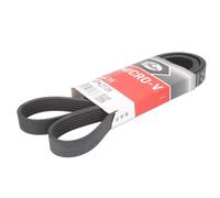 Cinghia Poly-V GATES 6PK2128