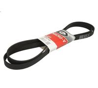 Cinghia poly-V GATES 6PK2160 BMW 5 (E60) 3 2002-2005