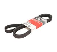 Cinghia Poly-V GATES 6PK2238