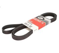 Cinghia poly-V GATES 6PK2238 per DODGE NITRO 2.8 2007-2012