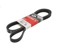 Cinghia poly-V GATES 6PK2364 per GMC YUKON 5.3 2000-2004