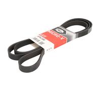 Cinghia Poly-V GATES 6PK2380