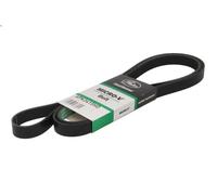 Cinghia poly-V GATES 6PK2415HD per AUDI Q5 (8RB) 3 2008-2017