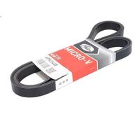 Cinghia poly-V GATES 6PK2448 AUDI A5 (8T3) 3 2011-2017