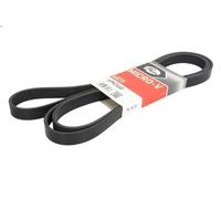 Cinghia poly-V GATES 6PK2460 AUDI A5 (8T3) 3 2007-2012