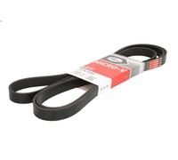 Cinghia poly-V GATES 6PK2500 AUDI A5 (8T3) 3 2007-2012