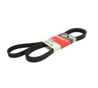 Cinghia Poly-V GATES 6PK2585