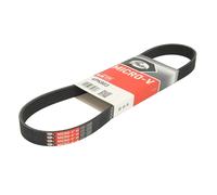 Cinghia Poly-V GATES 6PK803