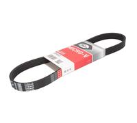 Cinghia Poly-V GATES 6PK843