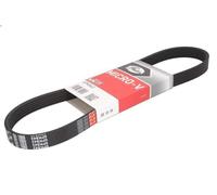 Cinghia poly-V GATES 6PK843 per VOLVO 440 (445) 2 1992-1995