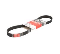 Cinghia Poly-V GATES 6PK893