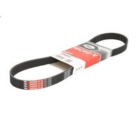 GATES 6PK893 Cinghia servizi Cinghia Poly-V Cinghia alternatore Cinghia dei servizi