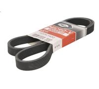 Cinghia poly-V GATES 7DPK14 per CALIFORNIA T4 Camper (7DJ, 7DK, 70J) 2.8 1996-