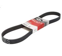 Cinghia poly-V GATES 7PK1035 per BMW 8 (E31) 5.4 1994-1999
