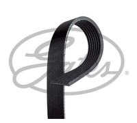 Cinghia Poly-V - GATES 7PK1125