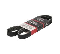 GATES 7PK1203EST cinghia Poly-V 7 nervature lunghezza 1.203 mm aramide