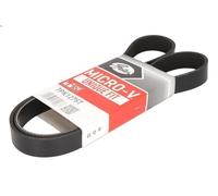 Cinghia poly-V GATES 7PK1275T per AUDI Q7 (4LB) 3 2010-2015