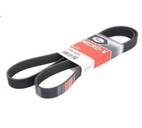 Cinghia AutoStar Germany V-Ribbed 11287843246 per BMW M5 M6 F10 F12 F13 4.4L V8