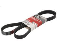 Cinghia poly-V GATES 7PK1785 HONDA FR-V (BE) 2.2 2005-2009