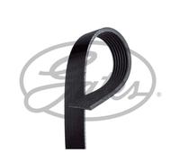 Cinghia Poly-V GATES 7PK1810
