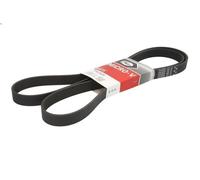 Cinghia Poly-V GATES 7PK2035 per CHRYSLER 300C (LX, LE) 3 2005-2012
