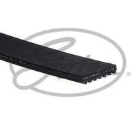 Cinghia Poly-V - GATES 7PK2163