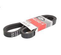 Cinghia poly-V GATES 7PK2535 AUDI A8 D3 (4E2, 4E8) 3.7 2002-2006