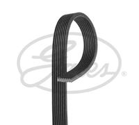 GATES 8DPK1825 Cinghia servizi