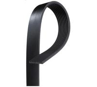 Cinghia Poly-V GATES 8PK1230HD per DAF 45 5.88 1991-2