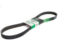 Cinghia poly-V GATES 8PK1365HD per VOLVO 7900 9.364 2011-2014