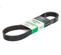 Cinghia poly-V GATES 8PK1375HD per MAN NL 10.518 2006-2009