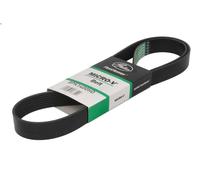 Cinghia poly-V GATES 8PK1400HD per DAF F 600 5.88 1986-1992