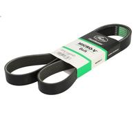 Cinghia poly-V GATES 8PK1460HD per DAF 45 5.88 1995-2000