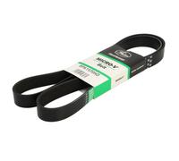 GATES 8PK1570HD Cinghia servizi