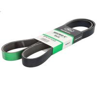 Cinghia poly-V GATES 8PK1614HD MERCEDES-BENZ AXOR 11.967 2002-2004