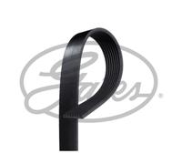 Cinghia Poly-V GATES 8PK1625HD