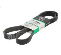 Cinghia Poly-V GATES 8PK1625HD per IRISBUS CITELIS 5.883 2005-2013