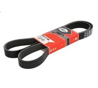 Cinghia poly-V GATES 8PK1630HD per MERCEDES-BENZ UNIMOG 5.132 2013-