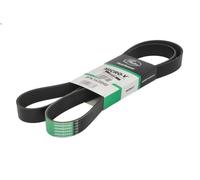 Cinghia poly-V GATES 8PK1635HD per MAN TGA 10.518 2001-2011
