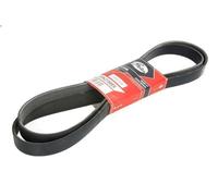 Cinghia poly-V GATES 8PK2150HD per MERCEDES-BENZ UNIMOG 7.201 2007-