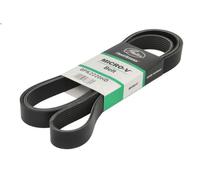 Cinghia poly-V GATES 8PK2220HD per SCANIA 4 - series 14.19 1996-2004