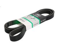 Cinghia poly-V GATES 8PK2250HD per DAF CF 10.837 2013-